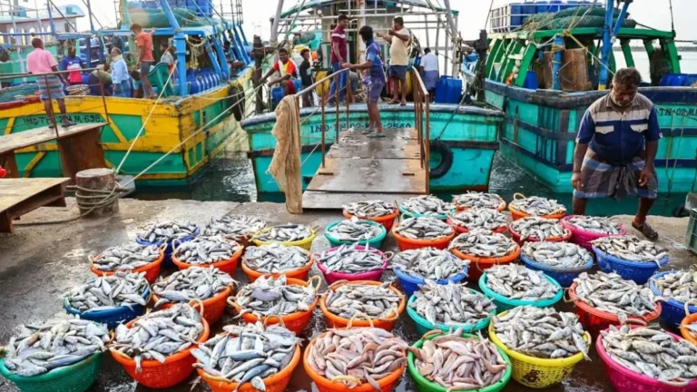 seafood