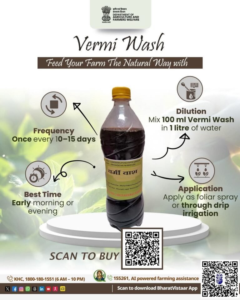 vermi
